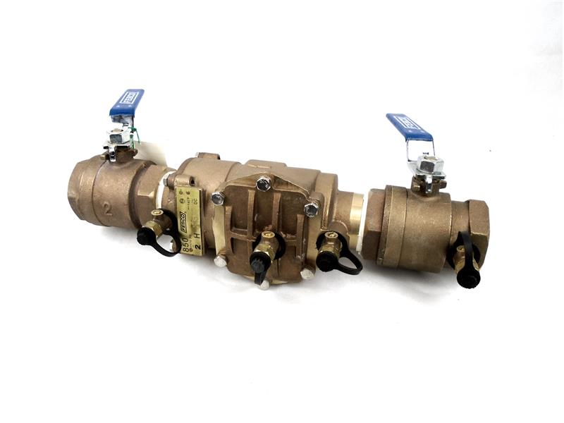 WATTS 850-2-BV