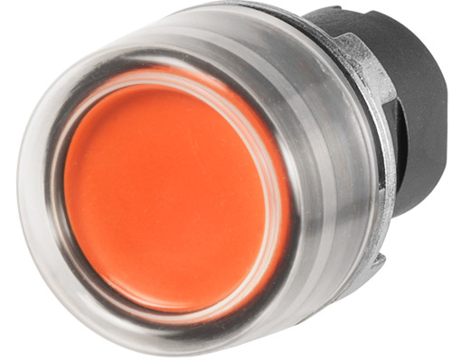 020PICGA par NEW ELFIN