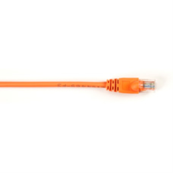 BLACK BOX CORP CAT5EPC-025-OR-25PAK
