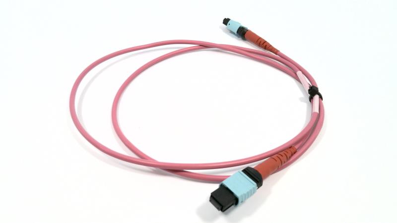 FS 24FMTPOM4