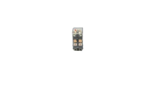 SKY ELECTRONICS SKNPLM-2C-24VAC