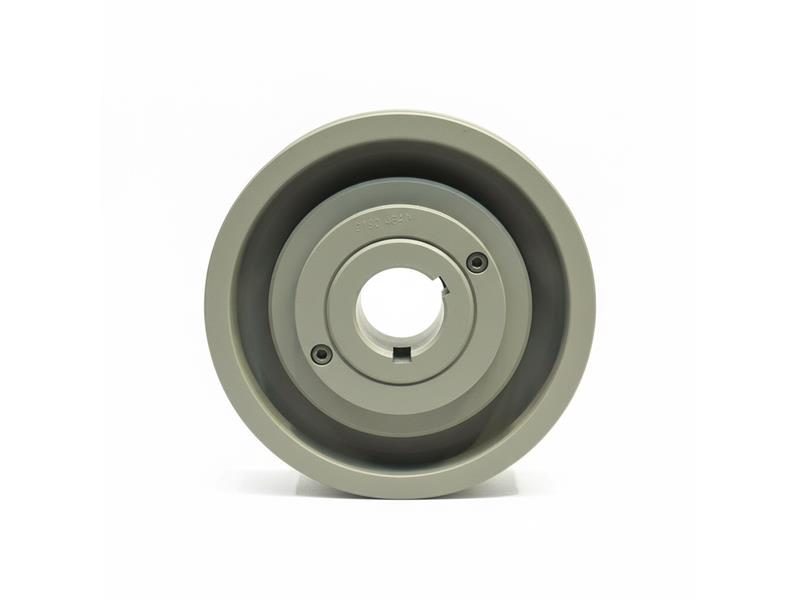 REGAL REXNORD 2LVP54B66A