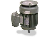 TECO-WESTINGHOUSE EPV0256C