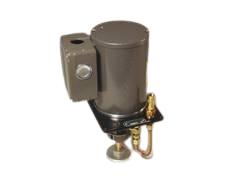 BIJUR DELIMON D2957
