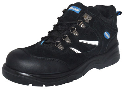 PRO SAFE INC VSF-31006K