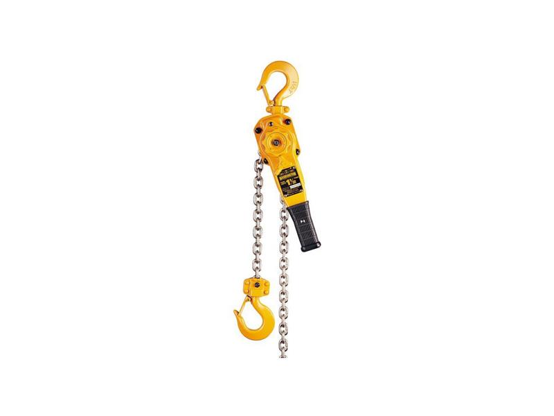 HARRINGTON HOISTS L5LB008-10