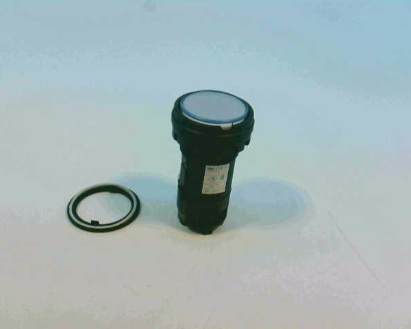 IDEC HW1P-1FQD-W-24