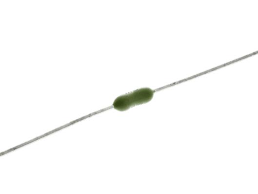 LITTELFUSE 0251007.HAT1L