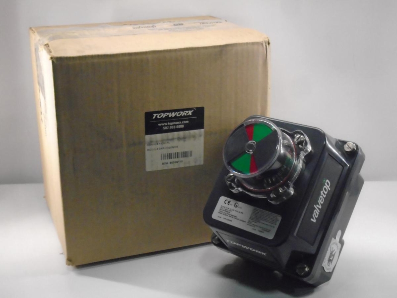 TOPWORX DXR-E30GNMS