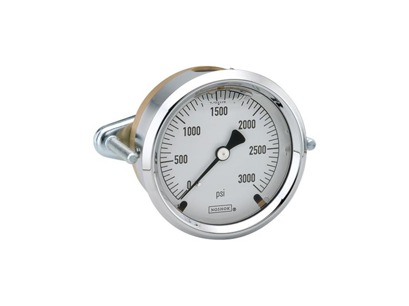 NOSHOK 25-310-300-PSI/KPA-CBU-GY40-BT8-CC