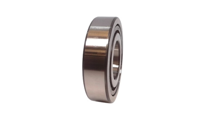 SKF NJ-309-ECP