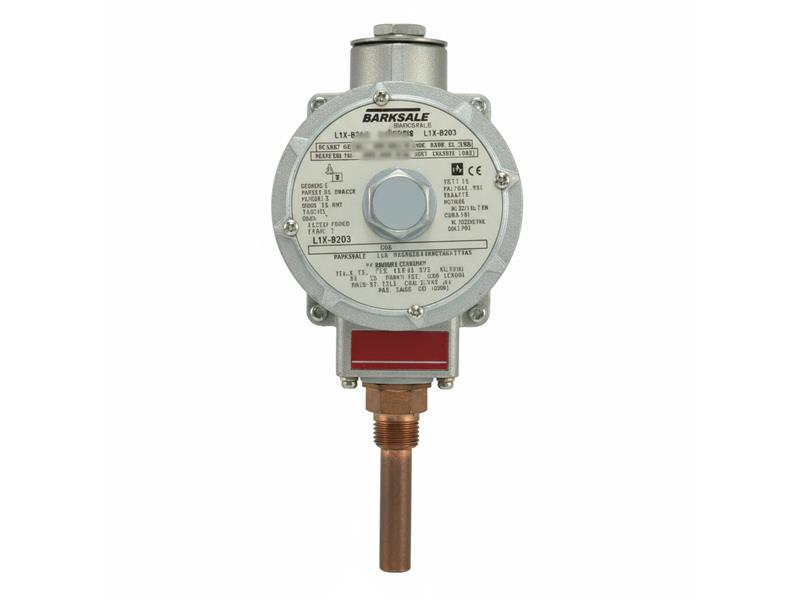 L1X-B203 par BARKSDALE