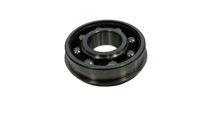 SKF 306SG
