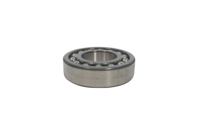 SKF 1206-ETN9