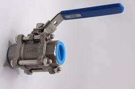 FNW VALVE CORP FNW310ASWG