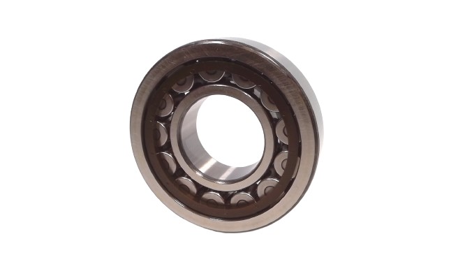 SKF NJ-309-ECP