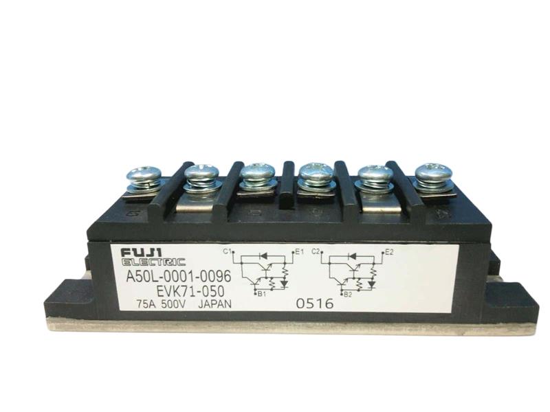 FUJI ELECTRIC A50L00010096