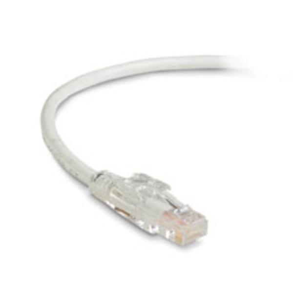 C6PC70-WH-100 by BLACK BOX CORP
