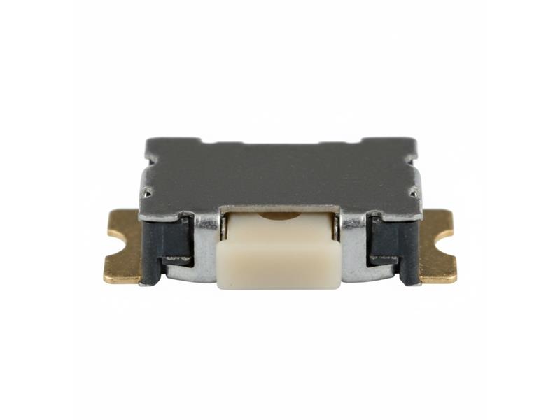 ITT PTS841GKPSMTRLFS