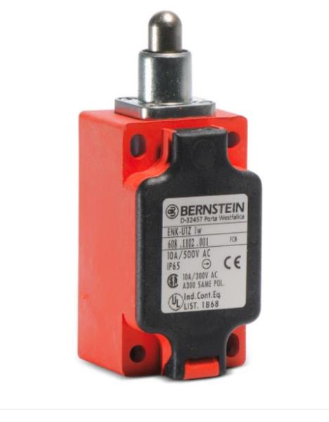 BERNSTEIN AG 618.1100.153