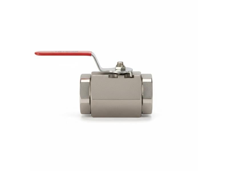 2-86-6-RT-6-A by GEMINI VALVE