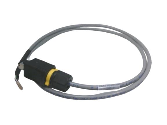 RADWELL VERIFIED SUBSTITUTE FSD-CSTM-HART-TO-HIROSE