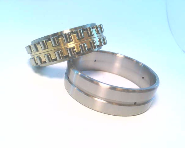 SCHAEFFLER GROUP NN3009-AS-M-SP