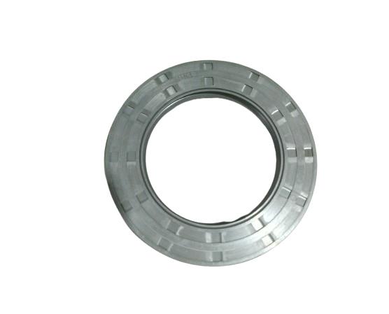 SKF 65X100X10