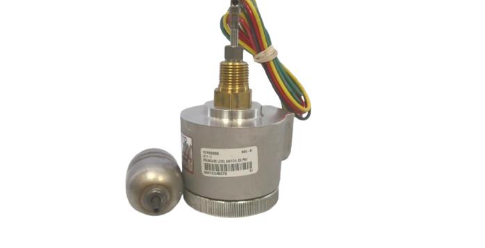 FW MURPHY 15700093