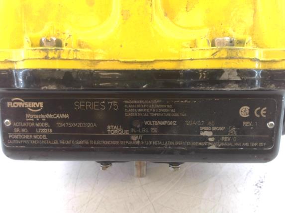 FLOWSERVE 10M75XM2D3120A FLOWSERVE 10M75XM2D3120A