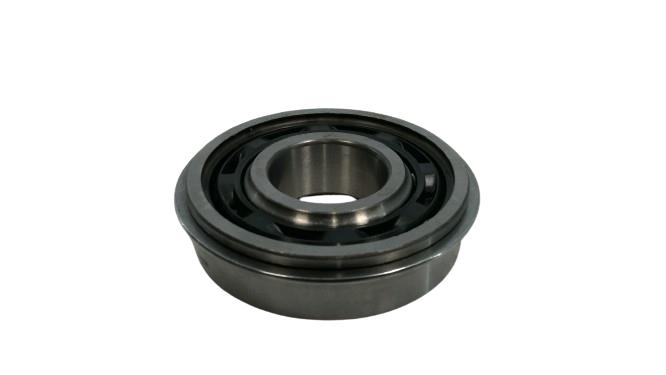 SKF 306SG