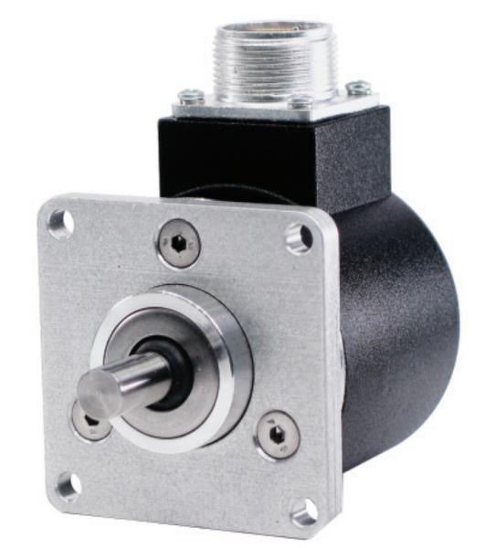 725/2-10-F1-2500-R-L5-1-SX-ST-IP64 par BRITISH ENCODER