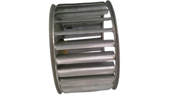 LAU FANS 02895721