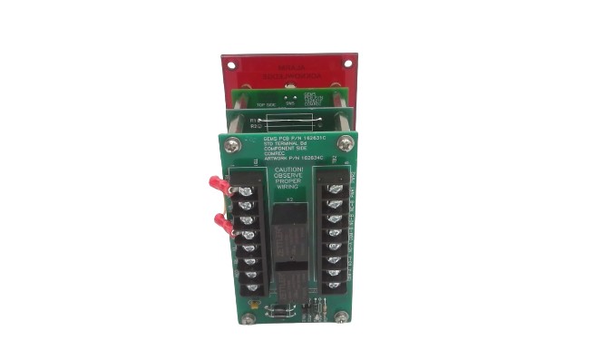 GEMS SENSORS 170685-0100