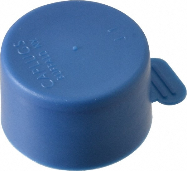 CAPLUGS 99120118