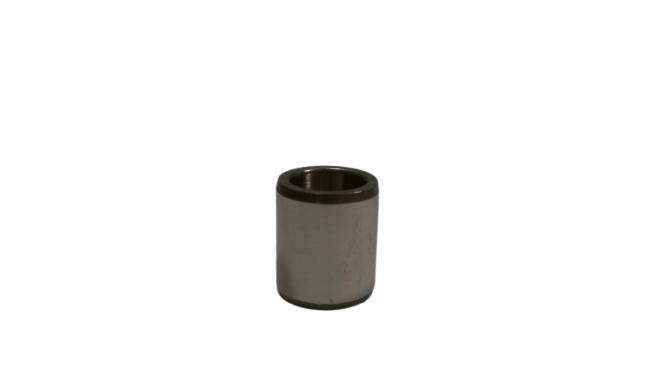 SCHAEFFLER GROUP IR10X14X16-XL