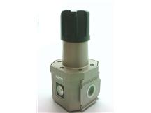 CKD CORP R8000-20N