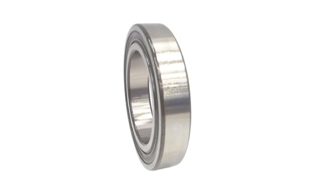 SKF 6014 2RSJEM