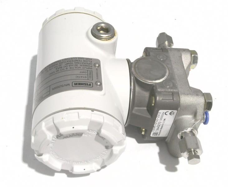 EMERSON RSE24S