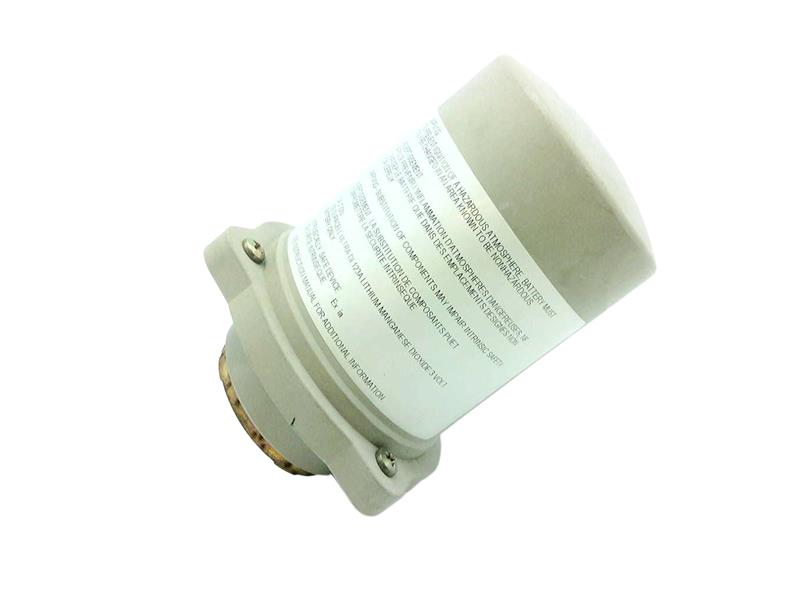 ROBERTSHAW GM060EI0000F800