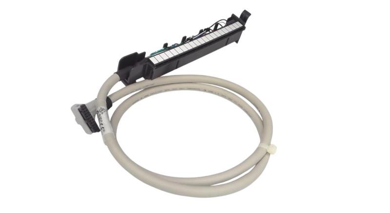ALLEN BRADLEY 1492-CABLE010F