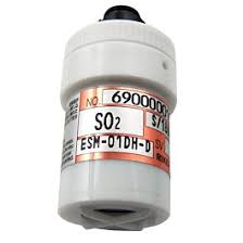 RKI INSTRUMENTS ESM-01DH-D-SO2