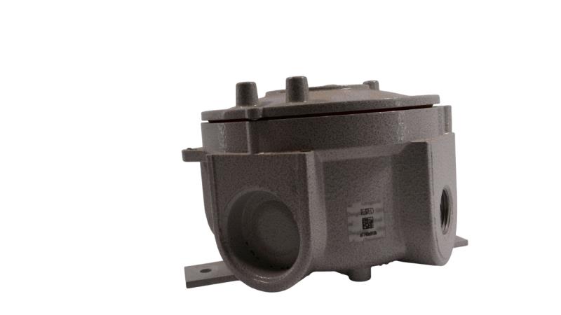 CORTEM GROUP SL29.1N