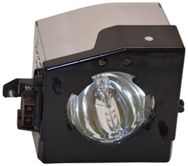 RADWELL VERIFIED SUBSTITUTE PL-088-SUB (LAMP & HOUSING)
