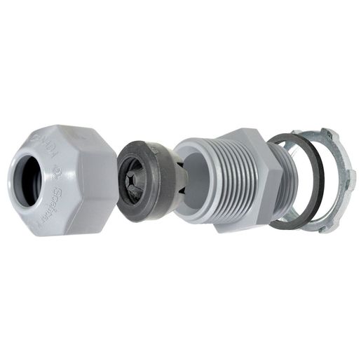 IPEX 077754