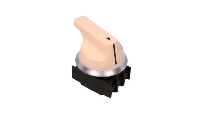 SCHMERSAL NWS21.1WS