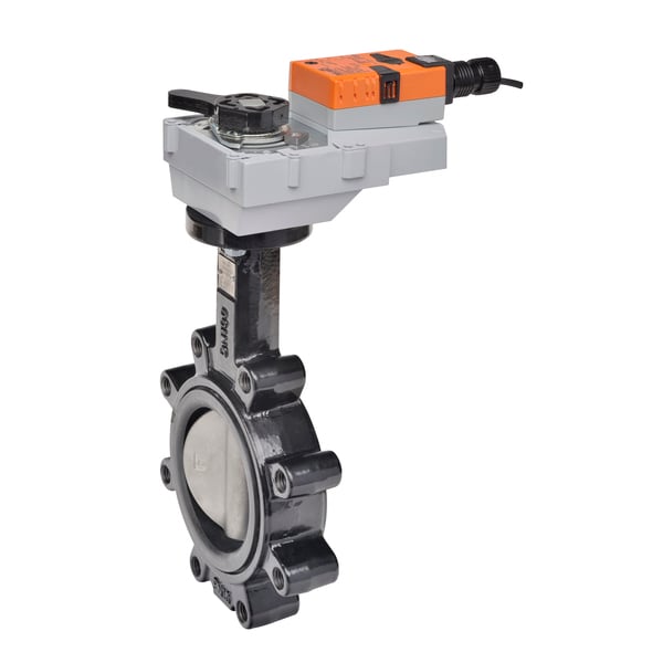 BELIMO F665HD+GRCX120-3