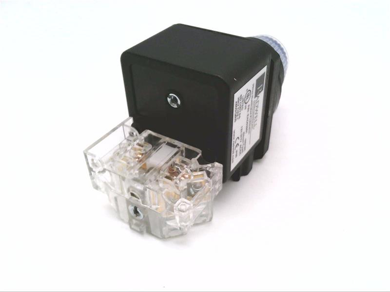 RADWELL RAD03981