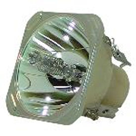 RADWELL VERIFIED SUBSTITUTE 456-8789H-SUB (BARE LAMP ONLY)
