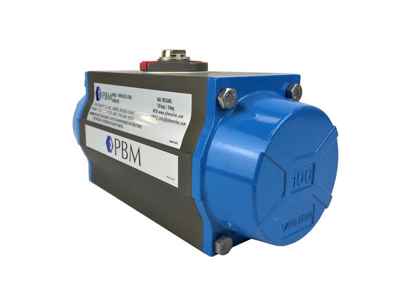 PBM VALVE PAVBL453S--0100